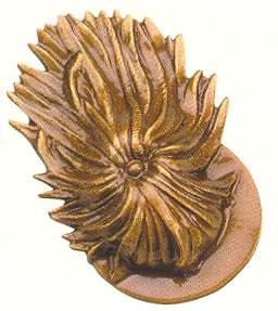 Cappello Bersaglieri