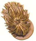 Cappello da Bersagliere